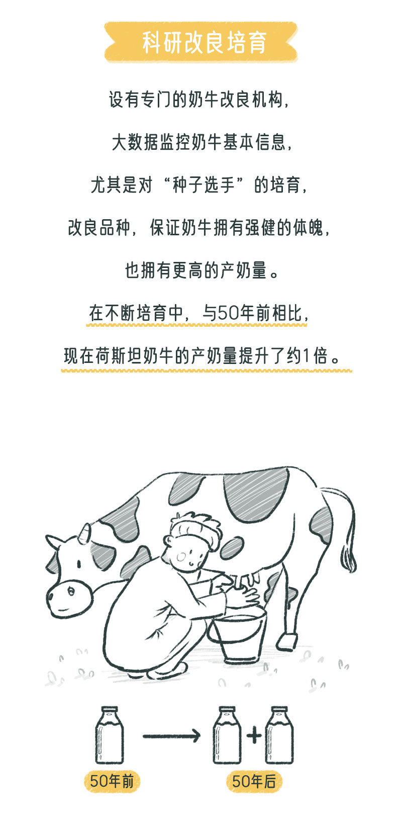 画板-1_10.jpg
