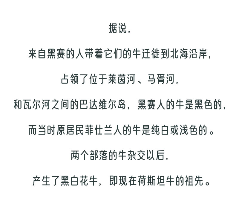 画板-1_04.jpg