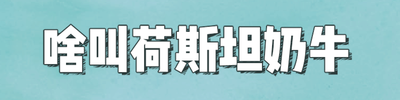 未标题-1.gif