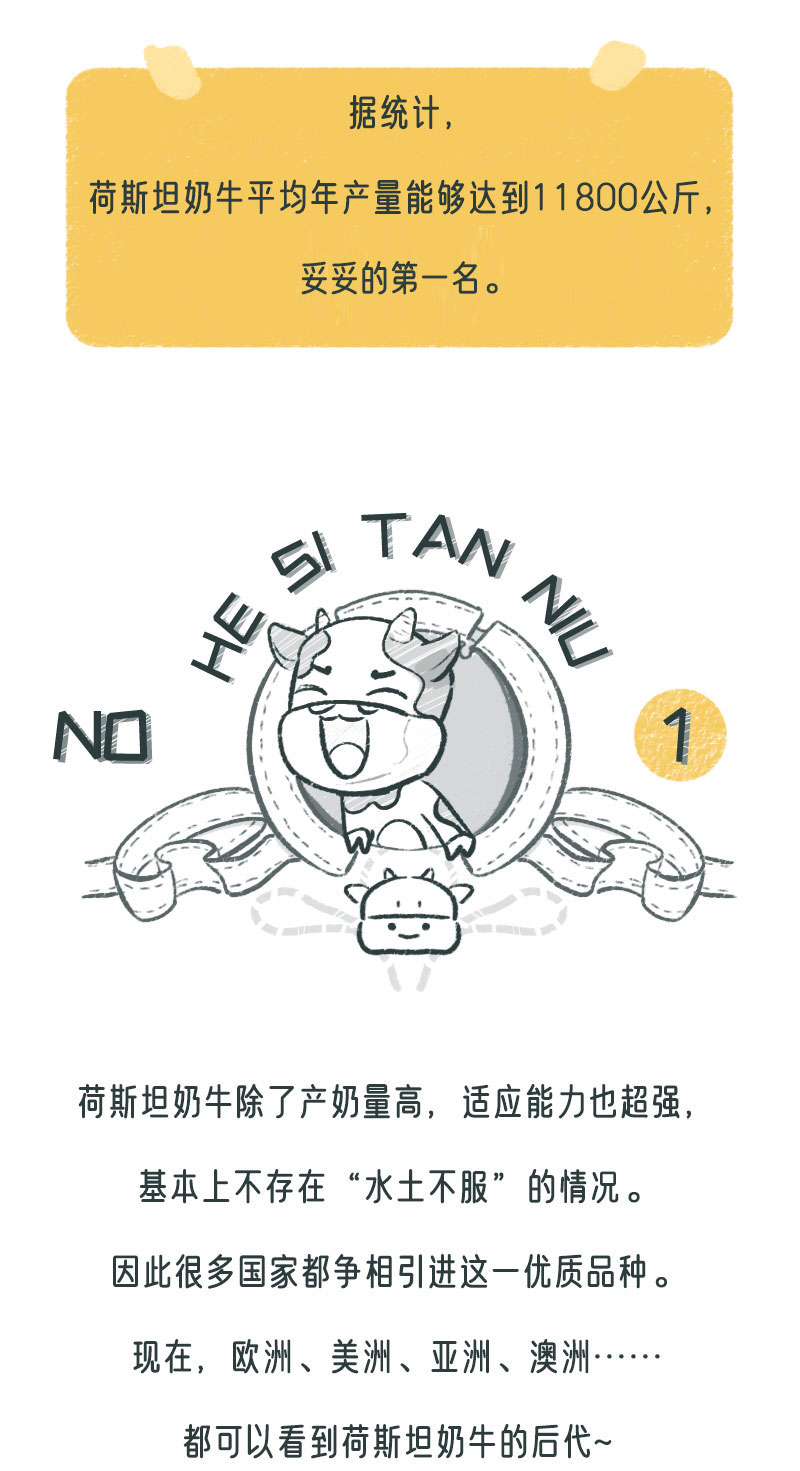 画板-1_07.jpg