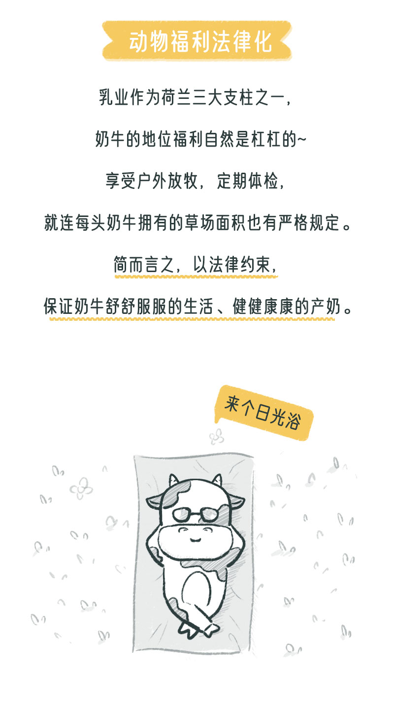 画板-1_09.jpg