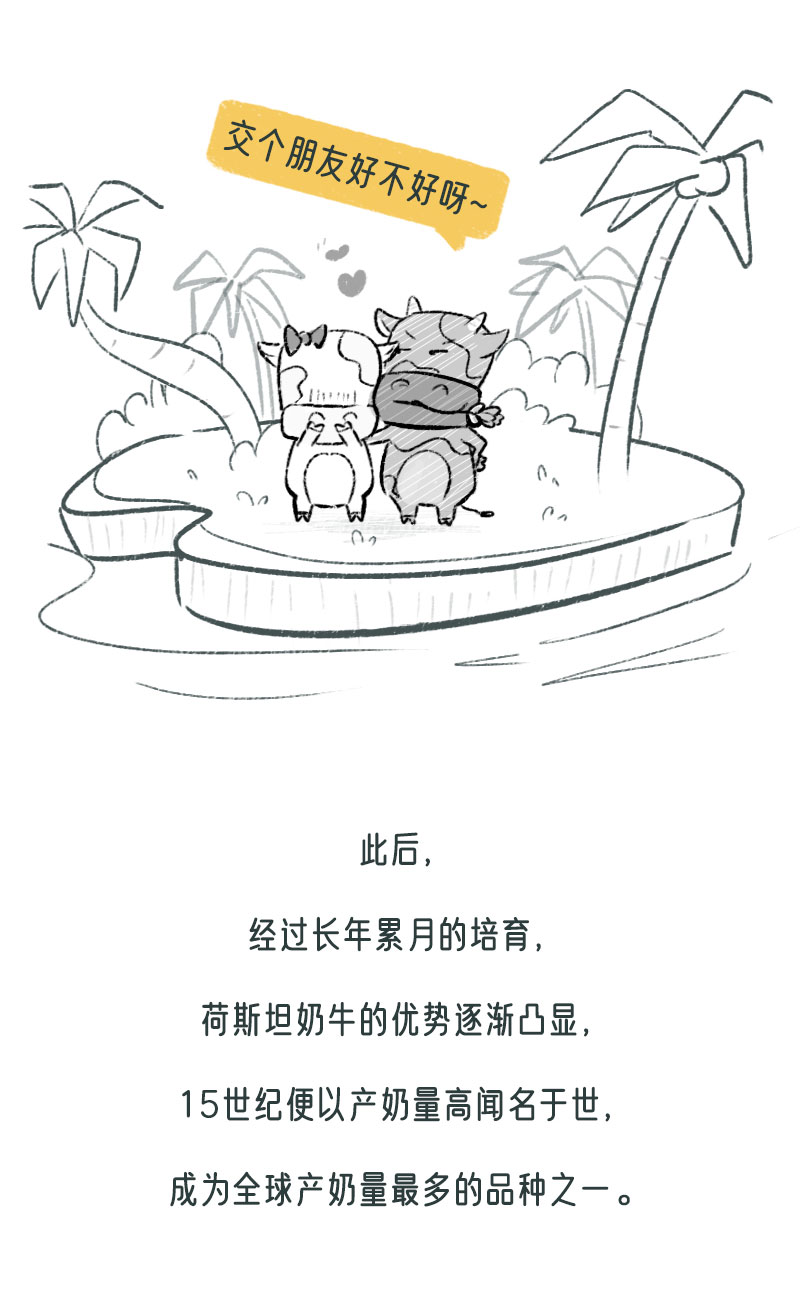 画板-1_06.jpg