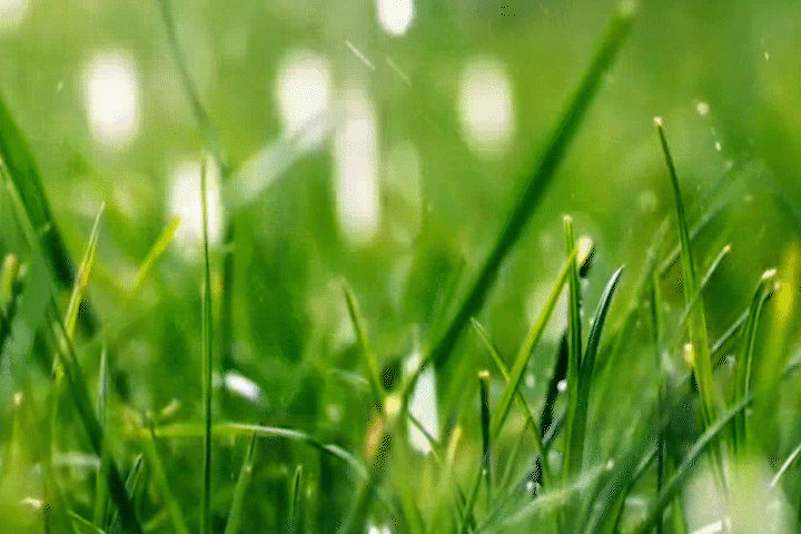 爱荷美奶粉.gif